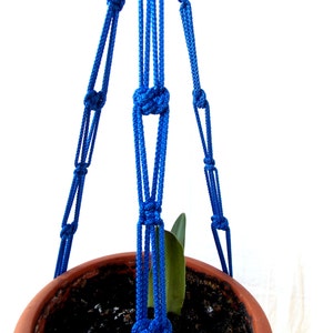 May include: A blue macrame plant hanger with a terracotta pot and a green plant inside.