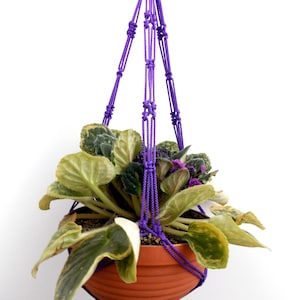 Puede incluir: Un macetero de macramé morado con una maceta de terracota y una planta verde con flores moradas.