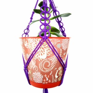 Puede incluir: Un macramé morado para colgar plantas con una pequeña planta en maceta. La maceta tiene un patrón floral con detalles blancos y naranjas.