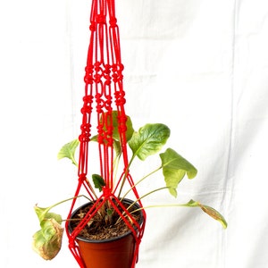 Puede incluir: Un macetero de macramé rojo con una maceta marrón y una planta verde colgando.