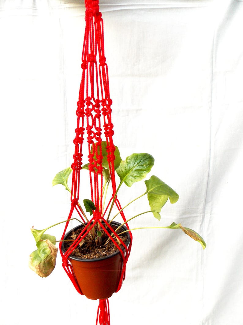 K&ouml;nnte beinhalten: Ein roter Makramee-Pflanzenh&auml;nger mit einem braunen Topf und einer gr&uuml;nen Pflanze, die daran h&auml;ngt.