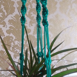 May include: Three green macrame plant hangers with a green plant in the center.