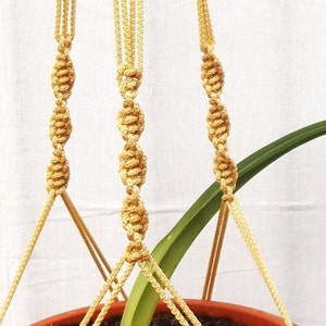 May include: A macrame plant hanger with three strands of beige cord, holding a potted plant with green leaves.