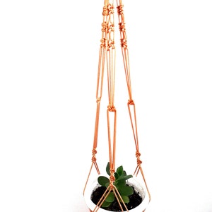 May include: A macrame plant hanger with a white pot and a small green plant. The hanger is made of brown cord and has a knotted design.