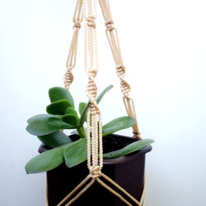 Puede incluir: Un colgador de plantas de macramé beige con una maceta cuadrada marrón oscuro que contiene una planta suculenta verde. El diseño de macramé presenta nudos intrincados y un patrón tejido, creando una estética bohemia. El colgador de plantas está suspendido sobre un fondo blanco.