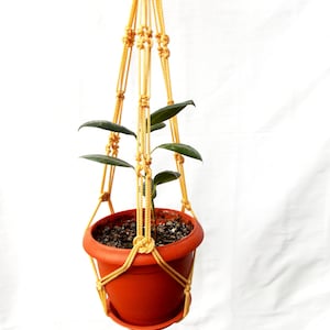 Puede incluir: Un macetero de macramé amarillo con una pequeña planta en maceta colgando de él. La planta tiene hojas verdes y está en una maceta de terracota.