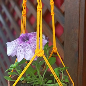 May include: A purple and white flower in a brown pot hanging from a yellow macrame plant hanger.