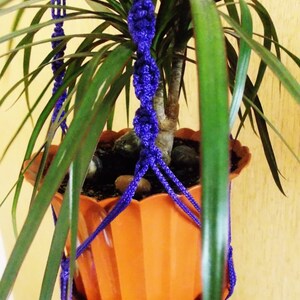 Könnte beinhalten: Eine Topfpflanze mit grünen Blättern, die an einem violetten Makramee-Pflanzenhänger hängt.