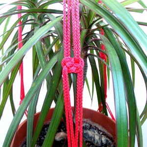 May include: A houseplant with green leaves is hanging from a red rope plant hanger. The plant is in a terracotta pot.