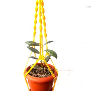 Puede incluir: Un macetero de macramé amarillo con una pequeña planta en maceta colgando de él.