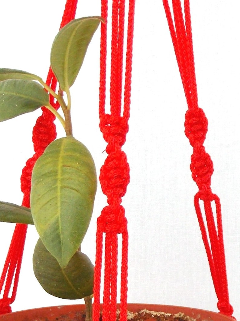 K&ouml;nnte beinhalten: Ein roter Makramee-Pflanzenh&auml;nger mit drei Seilst&auml;ngen auf jeder Seite. Der H&auml;nger ist in einem dekorativen Muster verknotet. Eine gr&uuml;ne Pflanze h&auml;ngt im Makramee.