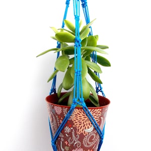Peut inclure: Un porte-plante en macramé bleu avec une petite plante en pot. Le pot a un motif floral.