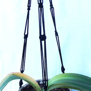 May include: Black macrame plant hanger with a green plant in a brown pot.
