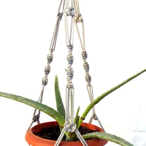 Puede incluir: Un macetero de macramé gris con una planta de aloe vera en maceta colgando.