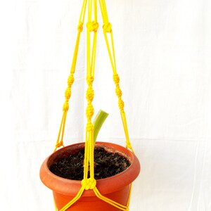 May include: A yellow macrame plant hanger with a terracotta pot and a small green plant inside.