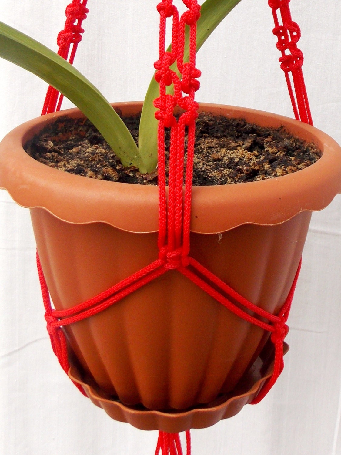 Red Macrame Plant Holder 24 Inches 3mm - Hanging Planter - Macrame Plant  Hanger - Wall Hanging - Planter Pot - Indoor - Outdoor - Gift Idea - Etsy