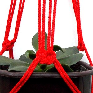 May include: A red macrame plant hanger with a green plant in a black pot. The hanger is made of multiple strands of rope that are knotted together to create a sturdy and decorative design.