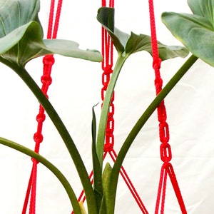 May include: A red macrame plant hanger with a green plant in a terracotta pot. The hanger is made of thick rope and has a knot at the top.