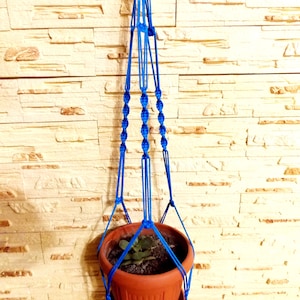 Puede incluir: Un macetero de macramé azul con una maceta de terracota y una pequeña planta verde en su interior.