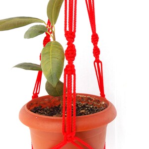 K&ouml;nnte beinhalten: Ein roter Makramee-Pflanzenh&auml;nger mit einer kleinen Topfpflanze. Der H&auml;nger besteht aus dickem, geknotetem Seil und ist so konzipiert, dass er an der Decke oder an einem Haken aufgeh&auml;ngt werden kann.