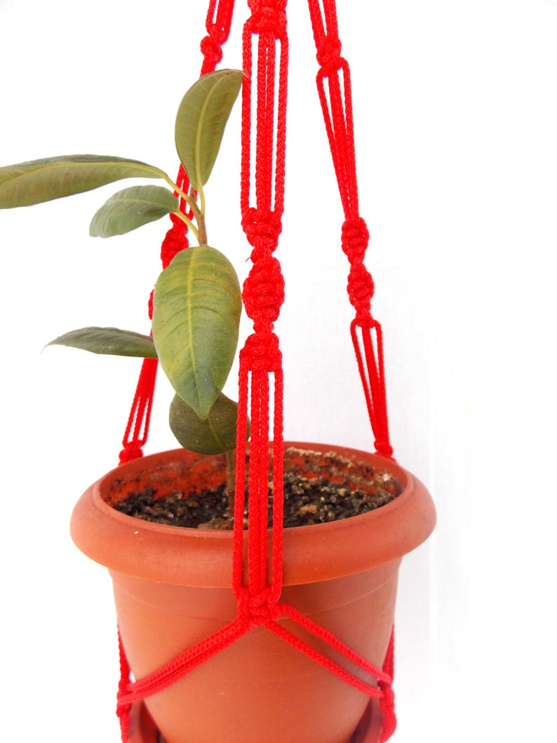K&ouml;nnte beinhalten: Ein roter Makramee-Pflanzenh&auml;nger mit einer kleinen Topfpflanze. Der H&auml;nger besteht aus dickem, geknotetem Seil und ist so konzipiert, dass er an der Decke oder an einem Haken aufgeh&auml;ngt werden kann.