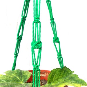 Könnte beinhalten: Ein grüner Makramee-Pflanzenhänger mit einem Topf und grünen Blättern, die daran hängen.