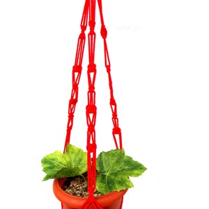 Könnte beinhalten: Ein roter Makramee-Pflanzenhänger mit einem kleinen Terrakotta-Topf und einer grünen Pflanze darin.