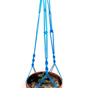 May include: A blue macrame plant hanger with a terracotta pot and a small green plant inside.