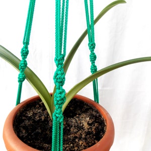 May include: A green macrame plant hanger with a potted plant hanging from it.