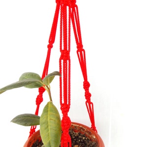 K&ouml;nnte beinhalten: Ein roter Makramee-Pflanzenh&auml;nger mit einer kleinen Topfpflanze, die daran h&auml;ngt.