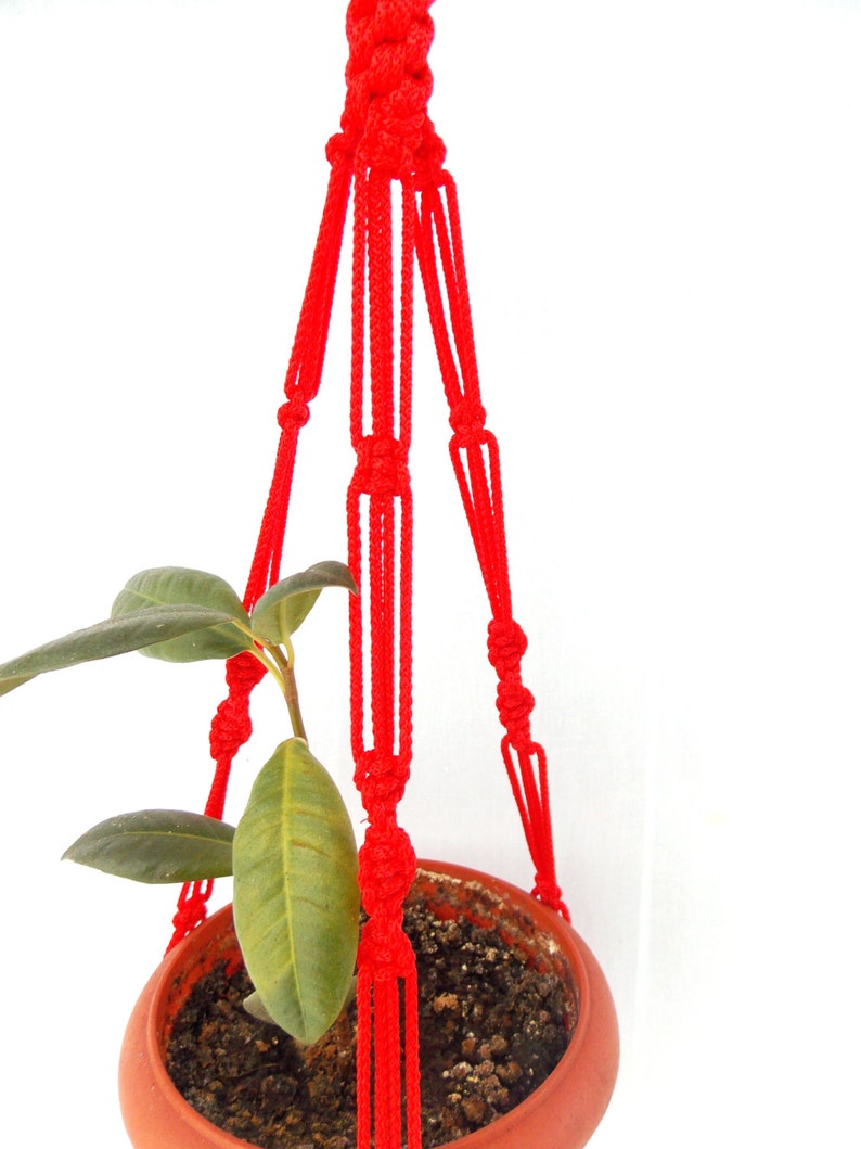 K&ouml;nnte beinhalten: Ein roter Makramee-Pflanzenh&auml;nger mit einer kleinen Topfpflanze, die daran h&auml;ngt.
