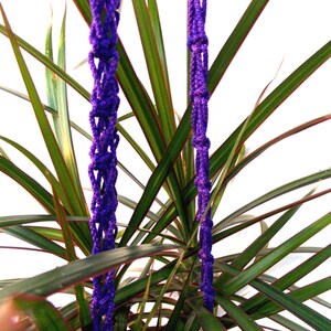 May include: Two purple macrame plant hangers hanging in front of a green leafy plant.