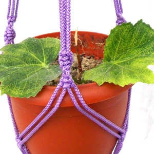 May include: Purple macrame plant hanger with a terracotta pot and a green plant inside.