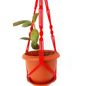 K&ouml;nnte beinhalten: Ein roter Makramee-Pflanzenh&auml;nger mit einem Terrakotta-Topf und einer kleinen gr&uuml;nen Pflanze darin.