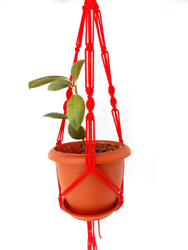 K&ouml;nnte beinhalten: Ein roter Makramee-Pflanzenh&auml;nger mit einem Terrakotta-Topf und einer kleinen gr&uuml;nen Pflanze darin.