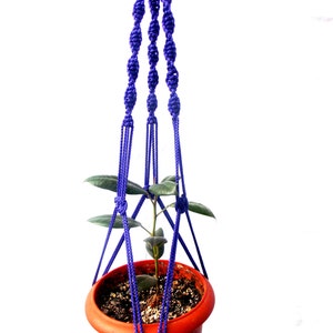 Puede incluir: Un macetero de macramé morado con una pequeña planta en maceta en su interior. El macetero está hecho de cuerda gruesa y tiene un nudo en la parte superior para colgarlo.