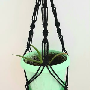 May include: A black macrame plant hanger with a light green planter and a small green plant inside.