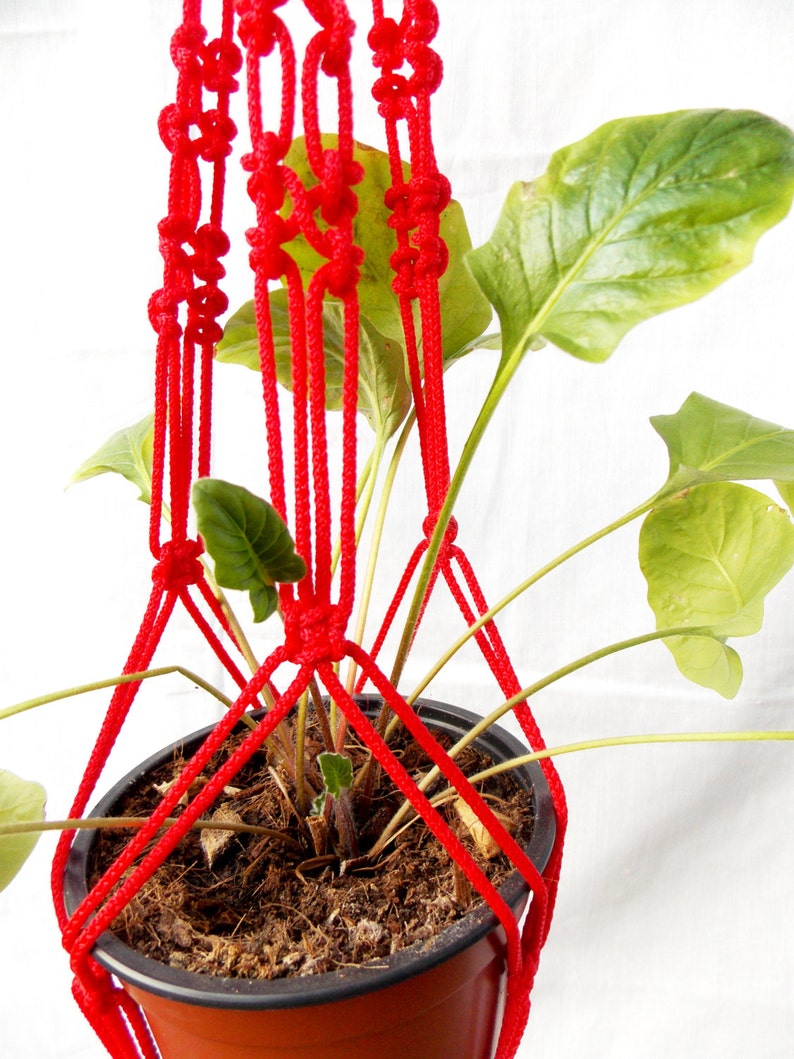 K&ouml;nnte beinhalten: Ein roter Makramee-Pflanzenh&auml;nger mit einer gr&uuml;nen Pflanze in einem braunen Topf. Der H&auml;nger ist aus dickem Seil gefertigt und hat ein Knotenmuster.