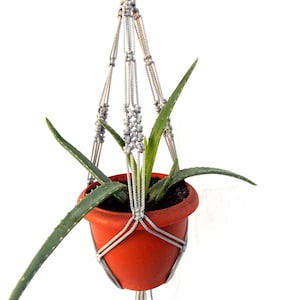 May include: A grey macrame plant hanger with a potted aloe vera plant. The hanger is made of thick cotton cord and has a simple design. The plant is in a terracotta pot.
