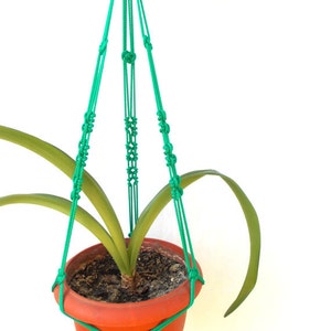 May include: A green macrame plant hanger with a terracotta pot and a green plant inside.