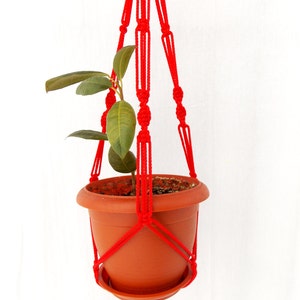 Puede incluir: Un macetero de macramé rojo con una maceta de terracota y una pequeña planta verde en su interior.