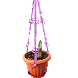 May include: A purple macrame plant hanger with a terracotta pot and a small green plant inside.