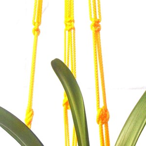 May include: A yellow macrame plant hanger with three strands of rope. The hanger is made with a knot pattern and is hanging from the ceiling. A green plant is hanging in the macrame hanger.