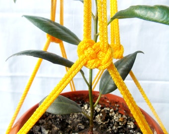 Amarillo Macrame Plant Holder - Macrame Plant Hanger 24 pulgadas 3mm - Hanging Planter - Interior - Exterior - Gift Idea - colgador de pared