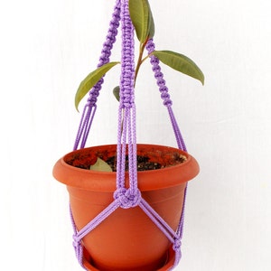 Puede incluir: Un macetero de macramé morado con una maceta de terracota y una pequeña planta con hojas verdes.