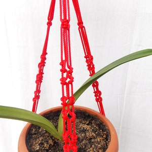 May include: A red macrame plant hanger with a terracotta pot and a green plant. The hanger is made of knotted cords and has a triangular shape.
