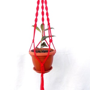 Puede incluir: Un macetero de macramé rojo con una pequeña planta en maceta. El macetero tiene un borla en la parte inferior.