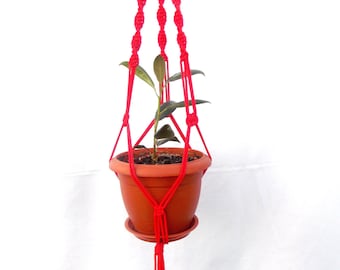 Pode incluir: Um suporte de planta de macramé vermelho com uma pequena planta em vaso. O suporte tem uma franja na parte inferior.