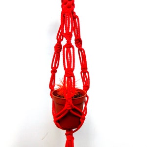 Puede incluir: Un colgador de plantas de macramé rojo vibrante que sostiene una pequeña maceta marrón con un cactus. El diseño de macramé presenta nudos intrincados y una borla en la parte inferior. El colgador está diseñado para una planta en maceta.