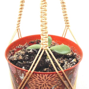 Beige Macrame Plant Hanger 24 inches 3mm - Hanging Planter - Indoor - Outdoor - Gift idea - Macrame plant holder - wall hanging
